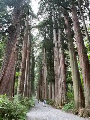 戸隠神社奥社(長野県)