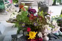 滑川神社 - 仕事と子どもの守り神の手水舎