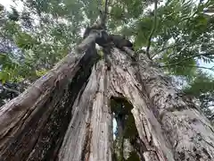 森本神社(兵庫県)