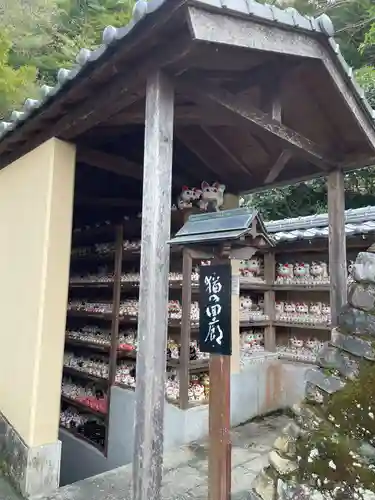 お松大権現(徳島県)