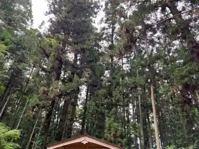 大宮温泉神社(栃木県)