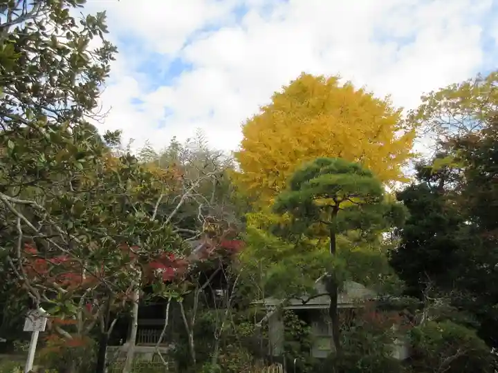 浄光明寺(神奈川県)