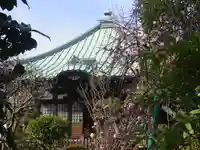 収玄寺の本殿・本堂