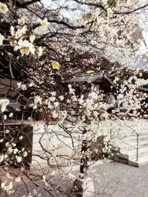 乃木神社(東京都)