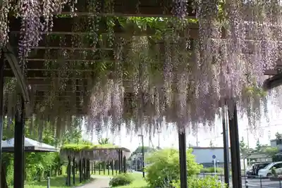 松尾神社(京都府)