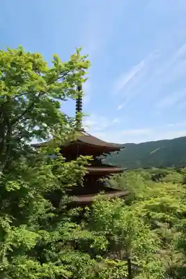 長谷寺(奈良県)