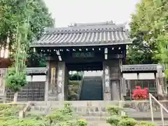 法憧山 普済寺の山門