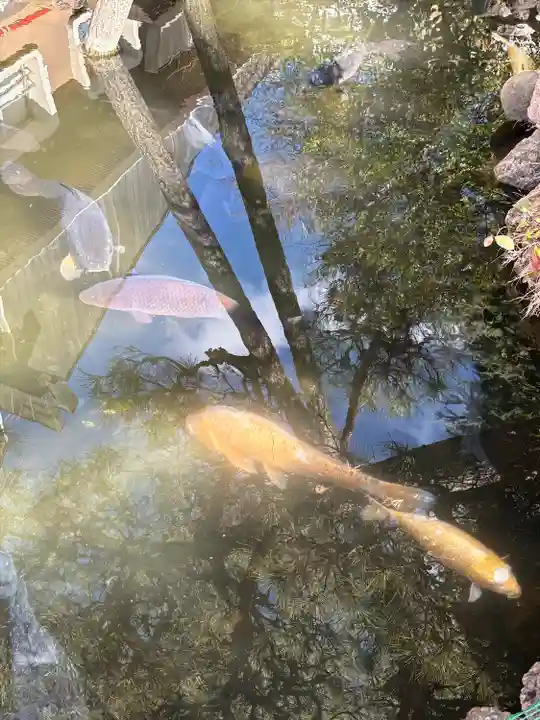 今泉八坂神社(栃木県)