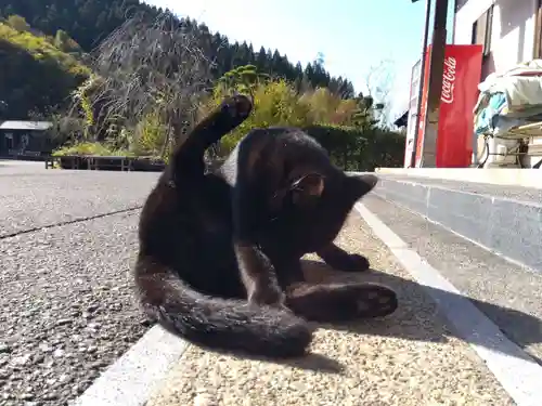 御誕生寺（猫寺）(福井県)