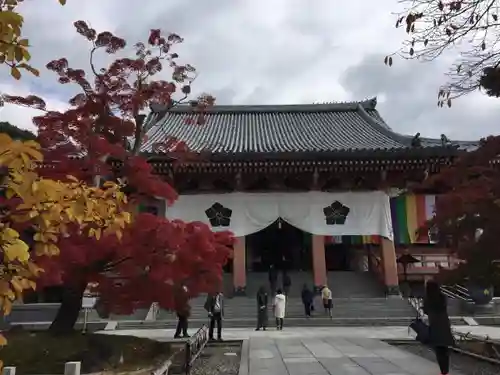 根来寺 智積院の本殿