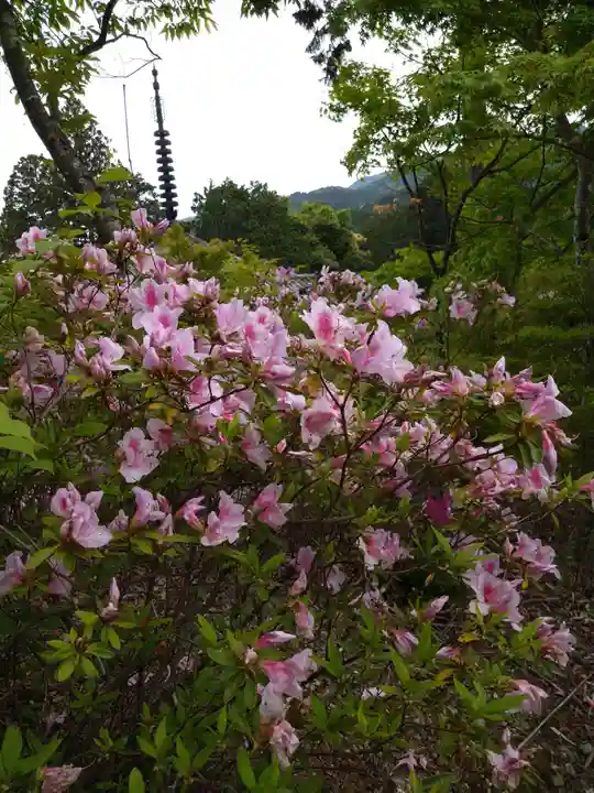 常樂寺(滋賀県)