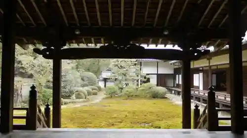 隨心院（随心院）の庭園