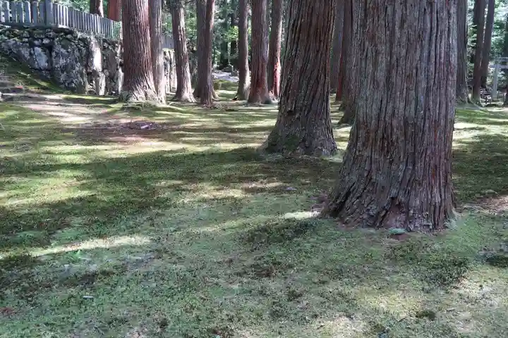 平泉寺白山神社(福井県)
