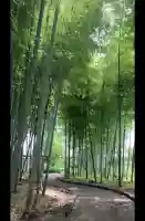 武蔵一宮氷川神社(埼玉県)