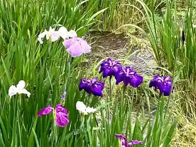 本土寺(千葉県)
