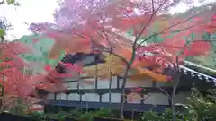 吟松寺の自然