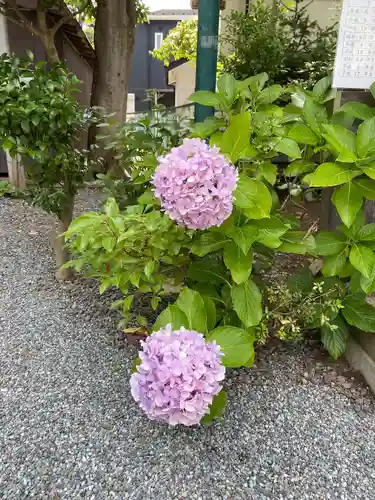 片瀬諏訪神社(神奈川県)