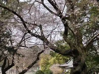 総寧寺(千葉県)