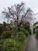 正法寺(東京都)