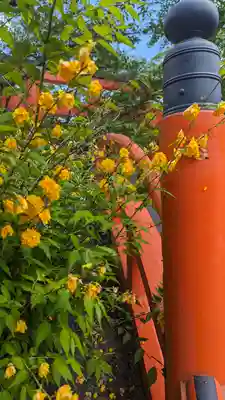 賀茂御祖神社（下鴨神社）(京都府)