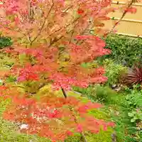 寿量山 速成寺の自然