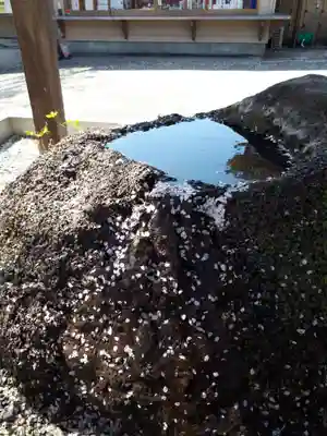 愛宕神社の手水舎