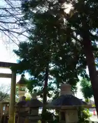 秋葉神社の自然