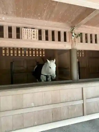 伊勢神宮外宮（豊受大神宮）(三重県)