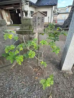 科野大宮社(長野県)