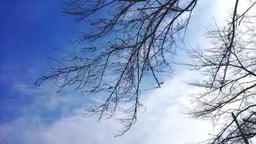 神明社（国府宮神明社）の景色