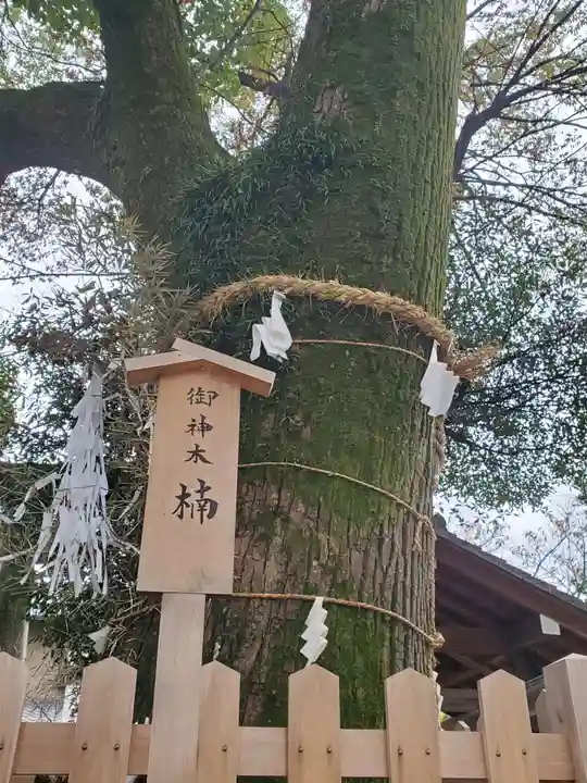 大神神社(花池)の自然