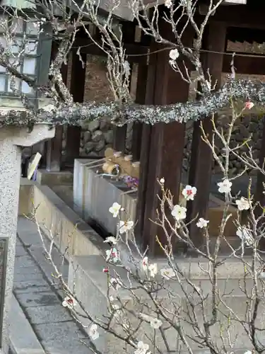 群馬県護国神社(群馬県)