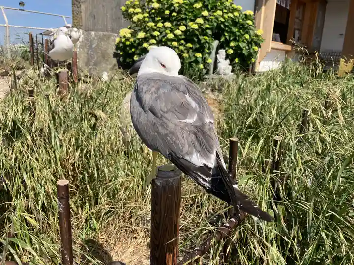 蕪嶋神社(青森県)