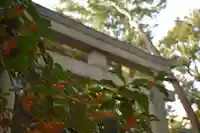 代々木八幡宮の鳥居