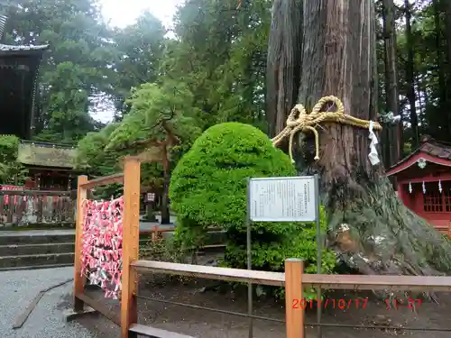 北口本宮冨士浅間神社(山梨県)