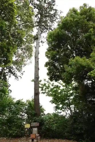 水戸愛宕神社(茨城県)