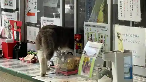 正一位 若草稲荷神社の動物