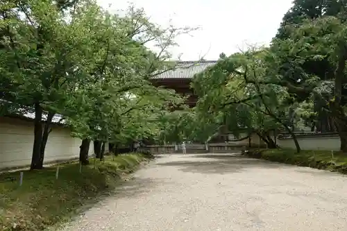 醍醐寺の山門・神門