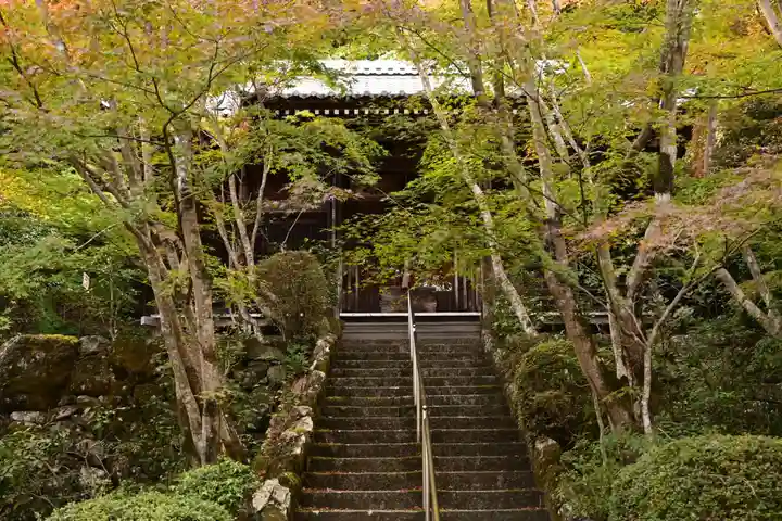 勝持寺(花の寺)(京都府)