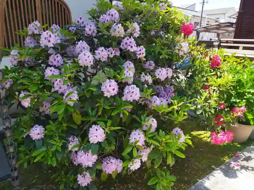 大日寺(大阪府)