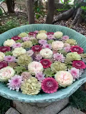 行田八幡神社の手水舎