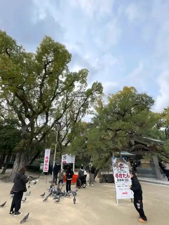 筥崎宮の{uncategorized: "未分類", other: "その他", undefined: "問題あり", building: "その他建物", grave: "お墓", sacred_gate: "鳥居", guardian: "狛犬", statue: "像", buddha: "仏像", history: "歴史", nature: "自然", garden: "庭園", animal: "動物", pagoda: "塔", temizu: "手水舎", mountain_gate: "山門・神門", sanctuary: "本殿・本堂", subordinate: "末社・摂社", art: "芸術", scenery: "景色", jizo: "地蔵", ema: "絵馬", goshuin: "御朱印", omikuji: "おみくじ", items: "授与品その他", amulet: "お守り", goshuincho: "御朱印帳", eats: "食事", festival: "お祭り", votive_dance: "神楽", shichigosan: "七五三参", wedding: "結婚式", experience: "体験その他", initially: "初詣", around: "周辺", anti_infection: "感染症対策"}