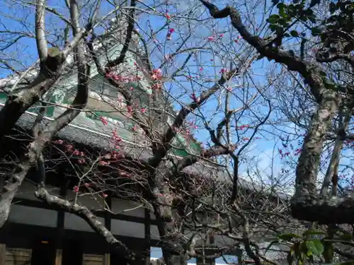 宝戒寺(神奈川県)