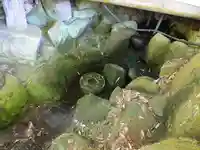 山賊魂稲成神社(山口県)