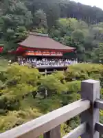 清水寺(京都府)
