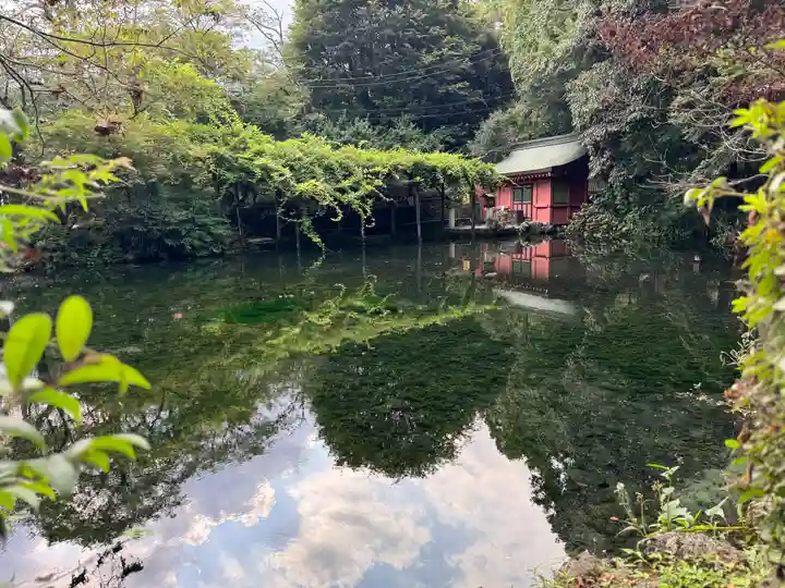 富士山本宮浅間大社(静岡県)