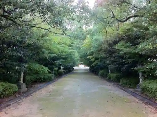 速谷神社の自然