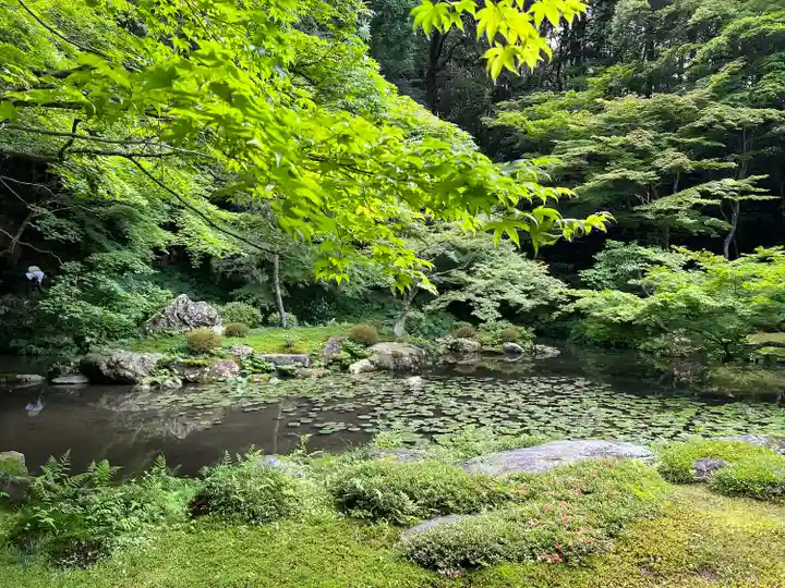 南禅院の庭園