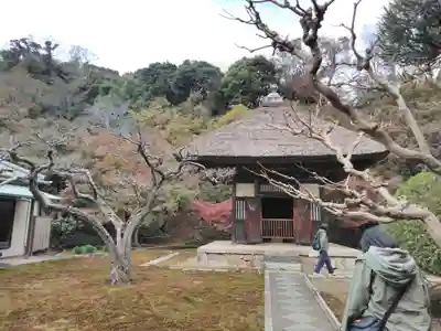 長壽寺（長寿寺）(神奈川県)