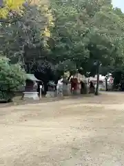 泊神社(兵庫県)